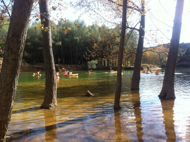 Canoes between the trees 